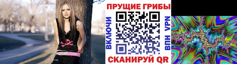 Галлюциногенные грибы Cubensis Волгодонск