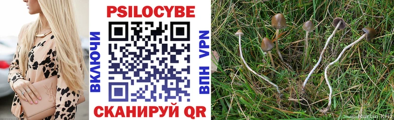 Купить  Волгодонск  Псилоцибиновые грибы Magic Shrooms 